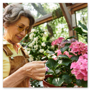 Aktivität auf der Terrasse im Garten